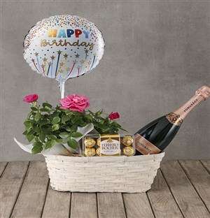 Pink Rose Bush Birthday Hamper