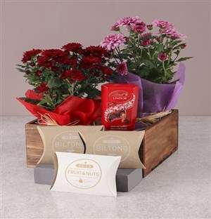 Pink and Red Chrysanthemums Gourmet Gift Set