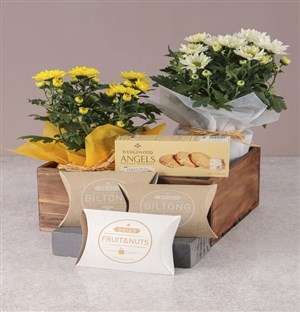 Duo of Chrysanthemum Gourmet Gift Set