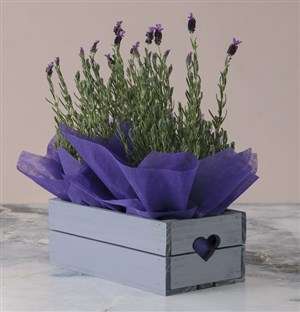 Lavender Heart Crate