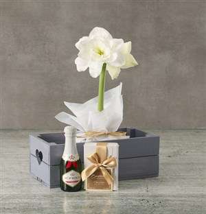White Amaryllis Chocolate Hamper in Heart Crate