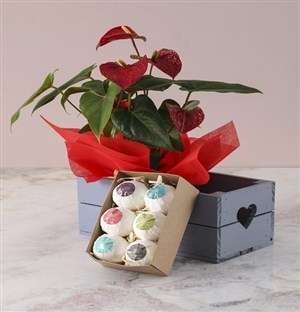 Anthurium Bath Bomb Hamper