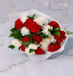 Striking Red and White Carnations