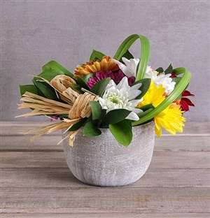 Summer Feels Spray Arrangement