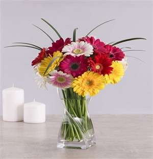 Mixed Gerbera Daisies in a Clear Vase