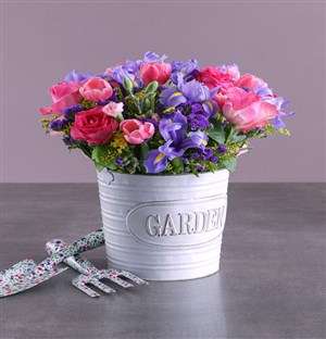 Iris Mix in Metal Bucket