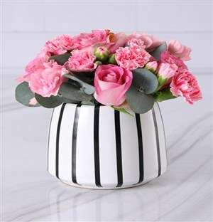 Pink Petals In A Pot