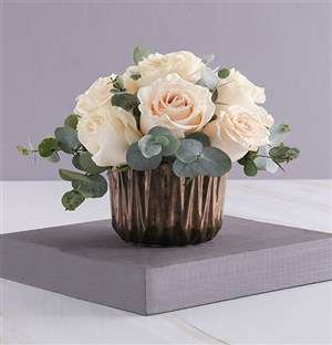 Cream Roses in Bronze