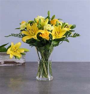 Mixed Yellow Arrangements