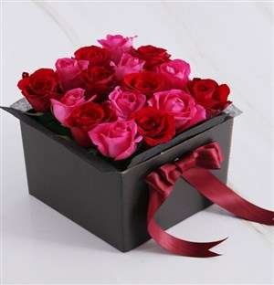 Cerise Rose Blossoms