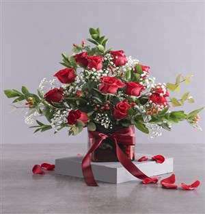 Red Rose Spectacular