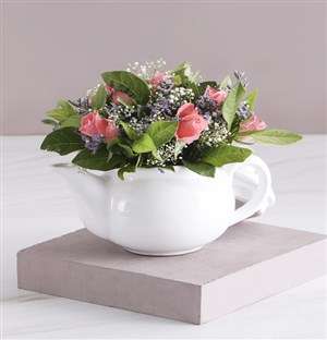 Stunning Sapphire Pink Roses In A Pot