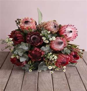 Pink Protea Floral Variety