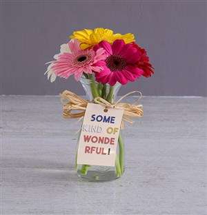 Wonderful Gerbera Vase