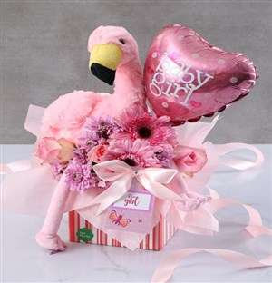 Baby Girl Flamingo Hamper