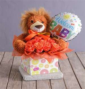 New Baby Lion Hamper