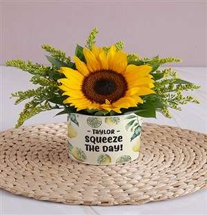 Personalised Squeeze the Day Sunflower