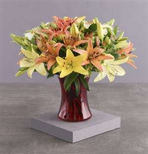 Royal Sunset Lily Arrangement