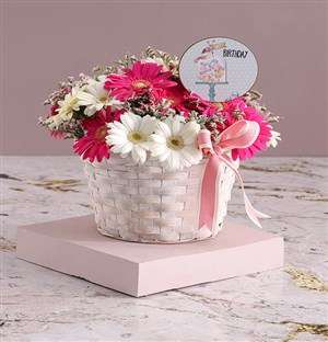 Basket of Birthday Gerberas