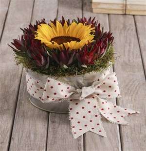 Polka Dot Sunflower Tin