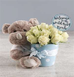 Lovely White Potted Roses And Teddy Gift