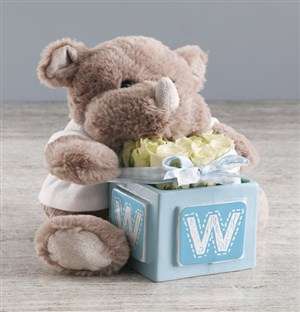 Welcome Home Baby Teddy And White Rose Gift
