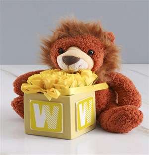 Welcome Home Baby Teddy And Yellow Rose Gift