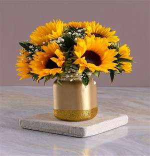 Have A Sunny Day Sunflowers In A Jar Gift