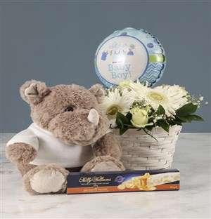 Mixed Flowers Baby Boy Basket