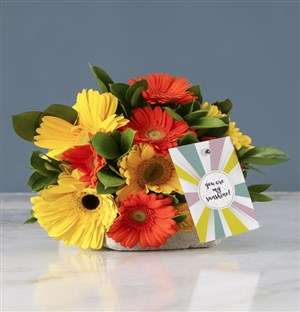 My Sunshine Mixed Gerbera Bouquet