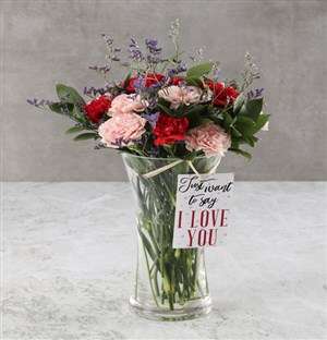 Pink And red Pleasures Carnation Arrangement