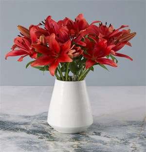 Radiant Red Lily Arrangement