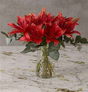 Breathtaking Red Lily Arrangement