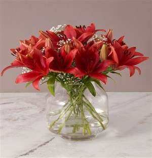 Luxurious Red Lily Arrangement