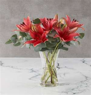 Awesome Asiflorum Lily Arrangement