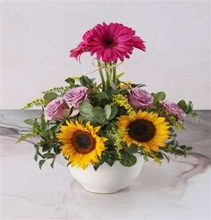 Crowning Moment Sunflower Pot