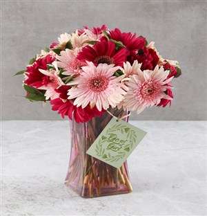 Pristinely Pink Gerbera Arrangement