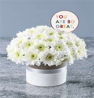 Great White Spray Arrangement