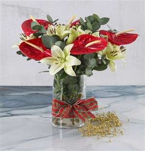 Beautiful Anthuriums In Vase