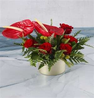 Gorgeous Anthurium And Red Rose Display