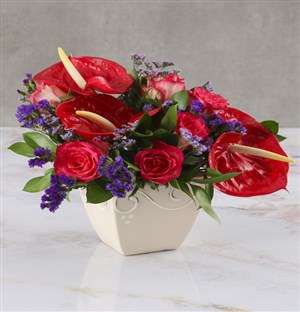 Vibrant Anthuriums And Blooms