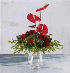 Magnificent Anthurium Arrangement