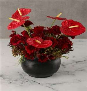 Burning Bright Anthurium Arrangement