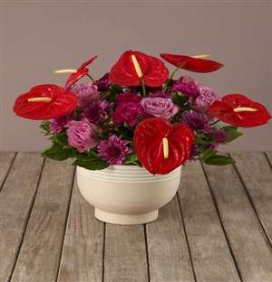 Rainbow Of Blooms Anthurium Arrangement