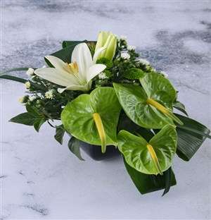 Luxurious Green Lilies