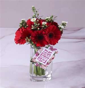 Glowing Gerbera Gesture
