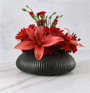 Daring Red Blooms In Black Pot