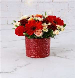 Red And Peach Bloom Mix