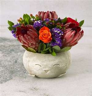 Pot Full Of Happy Flowers