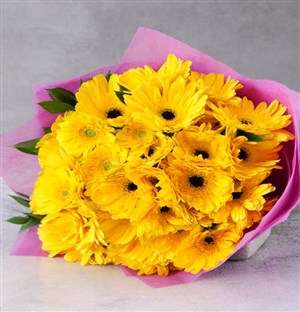 Gorgeous And Grand Yellow Gerbera Bouquet